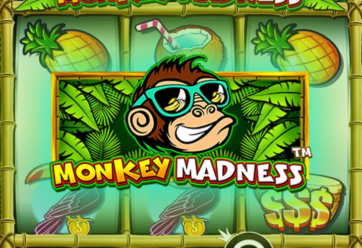 Monkey Madness - Pragmatic Play slot at Tipsport Kasino Casino